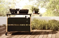 Patio gas cooker double burner grill and plancha and double trolley